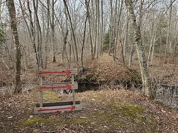 Beaver Brook Trail