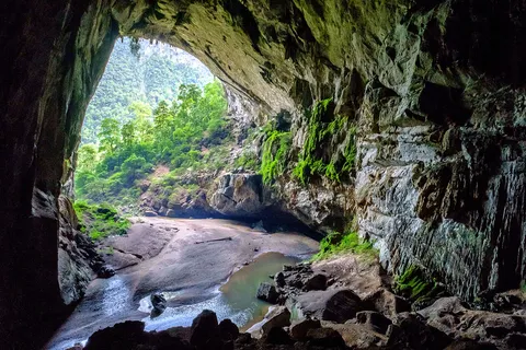 Hang En (Swallow Cave)