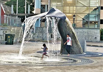 Whale Tail Fountain