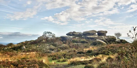National Trust - Brimham Rocks
