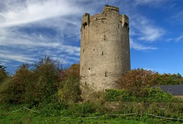Ballynahow Castle