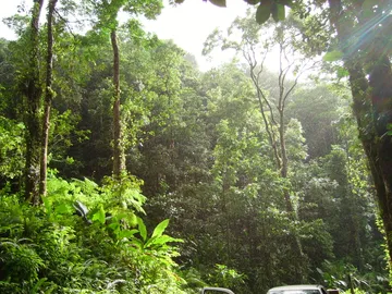 Martinique Natural Regional Park