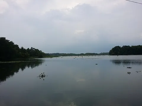 Lake Decatur