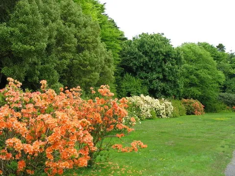 Achamore Gardens