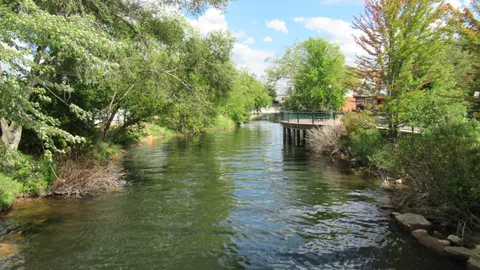 Boyne River Nature Area