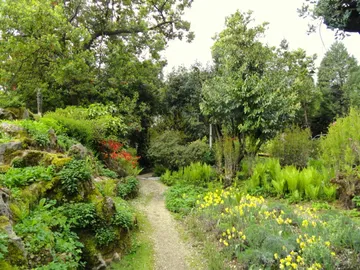 Giardino Botanico Fondazione André Heller