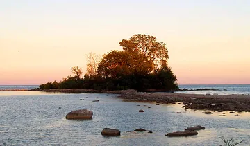 Buckeye Island