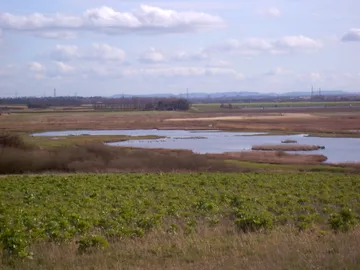 RSPB Burton Mere Wetlands