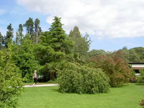 Mount Usher Gardens