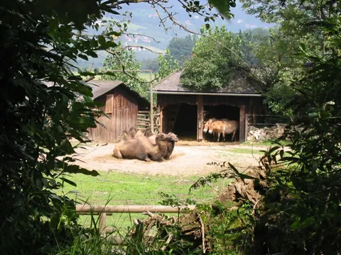 Herberstein Zoo