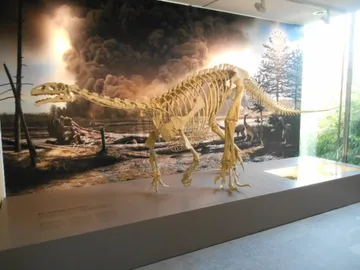 Naturhistorisches Museum Bern