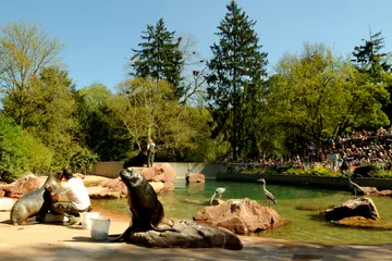 Zoological and Botanical Park of Mulhouse