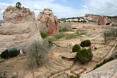 Navajo Zoological Park