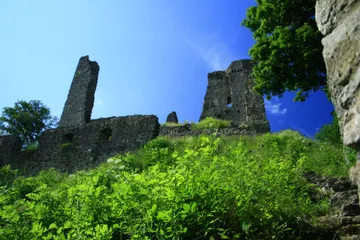 Schenkenberg Castle