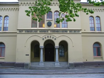 NTNU University Museum