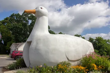 The Big Duck