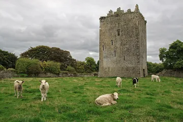 Lackeen Castle
