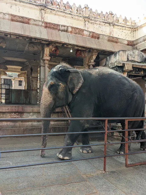 Temple with an elephant