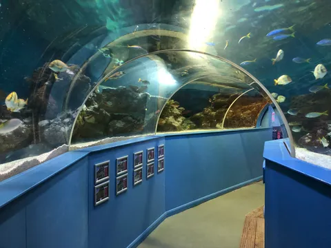 Tynemouth Aquarium
