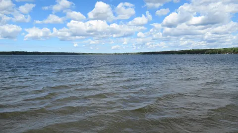 Manistee Lake