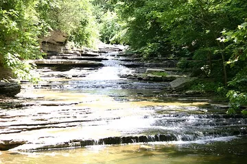 Tanyard Creek