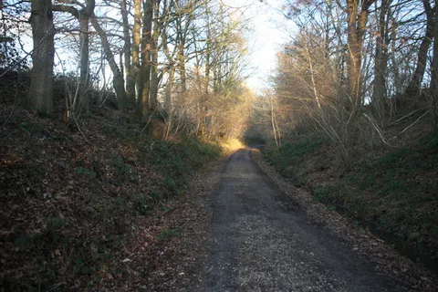Forest Way Country Park
