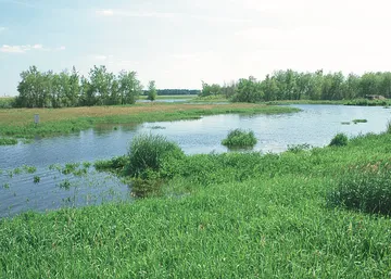 Iowa Wetland Management District