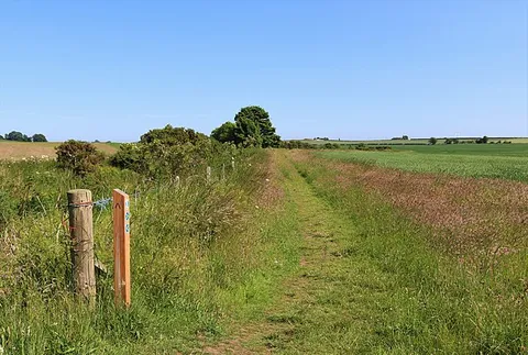 The Fife Pilgrim Way - Waymarker