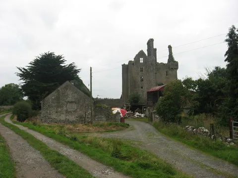 Ballycowan Castle