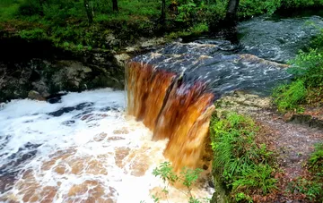 Falling Creek Falls