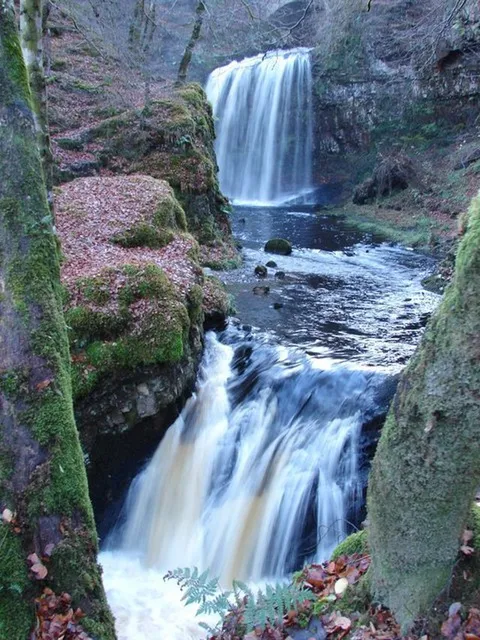 Dalcairney Falls