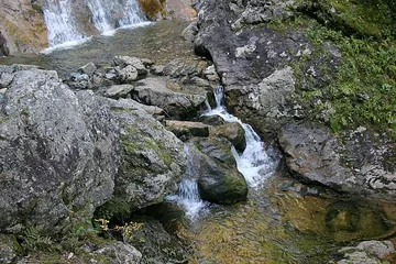 Yellow Branch Falls Trail