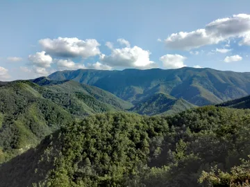Foreste Casentinesi, Monte Falterona, Campigna National Park