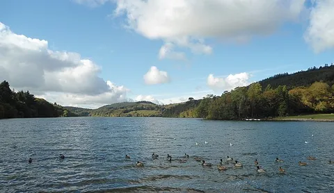 Castlewellan Lake