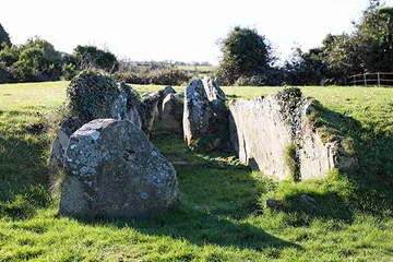 Audleystown Court Tomb