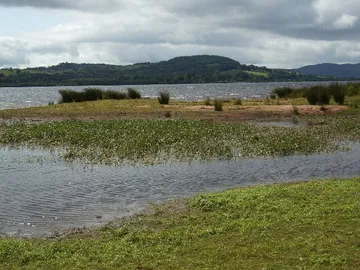 Loch Lomond National Nature Reserve (Inchcailloch)