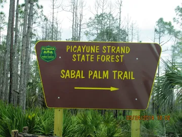 Picayune Strand State Forest