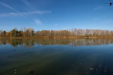 Morrison Lake