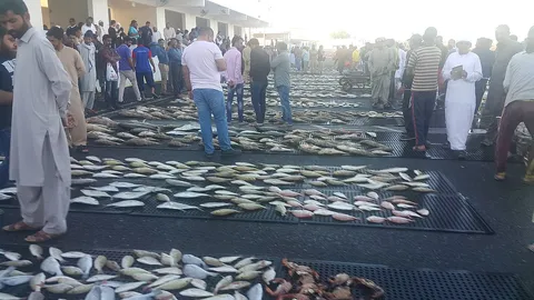 Ajman Fish Market