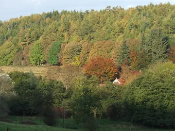 Dalby Forest