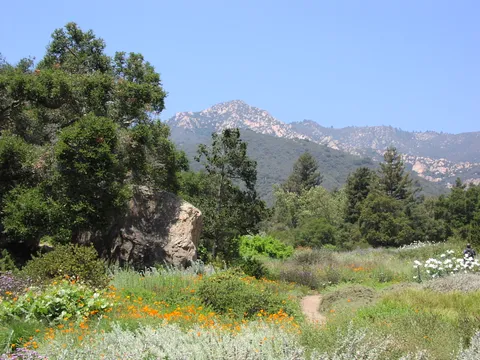 Santa Barbara Botanic Garden
