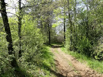 LaSalle Trail