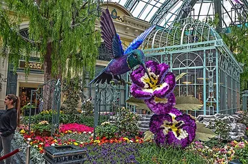 Bellagio Conservatory & Botanical Gardens