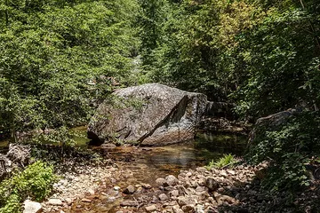 Flat Creek Nature Area