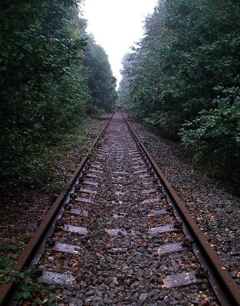 Sherwood Forest Railway