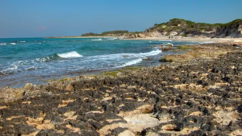 Torre Guaceto Marine Protected Area
