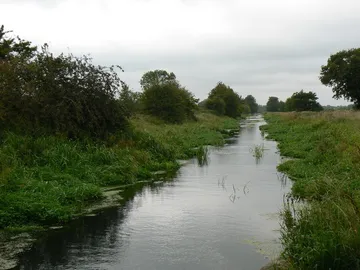 Pocklington Canal