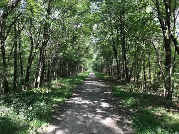 Southern New England Trunkline Trail