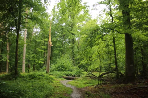 Regional Natural Park of Avesnois