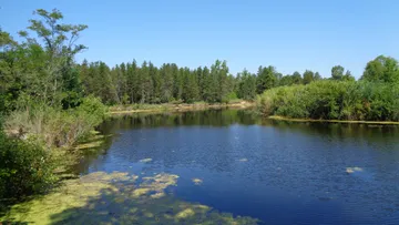 Pinnebog River